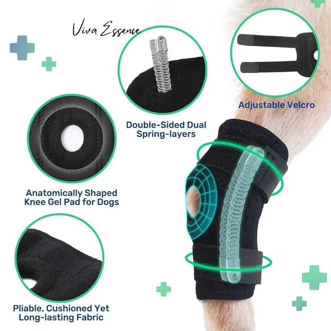 Adjustable Neoprene Dog Hock Brace - Joint Support Wrap