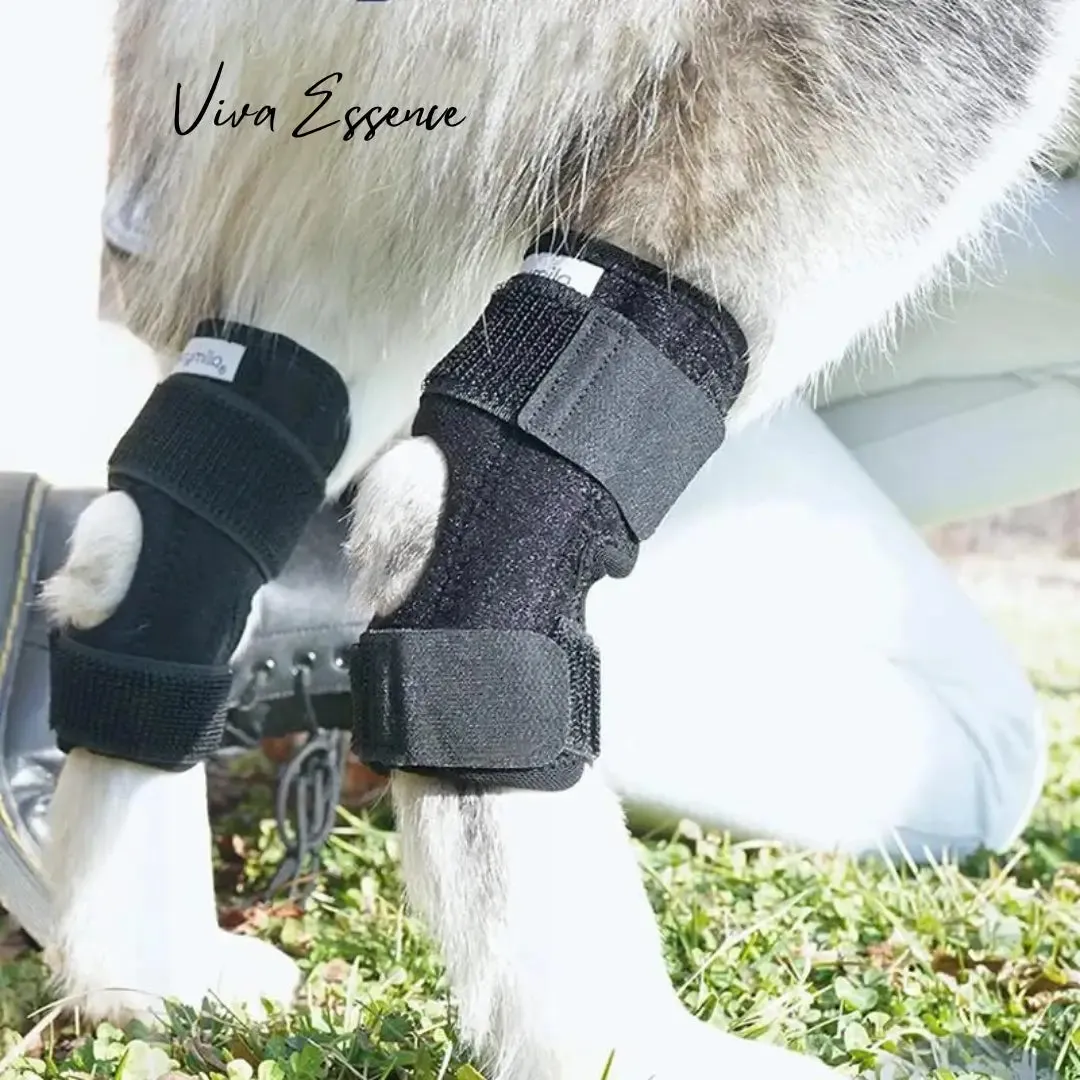 Adjustable Neoprene Dog Hock Brace - Joint Support Wrap