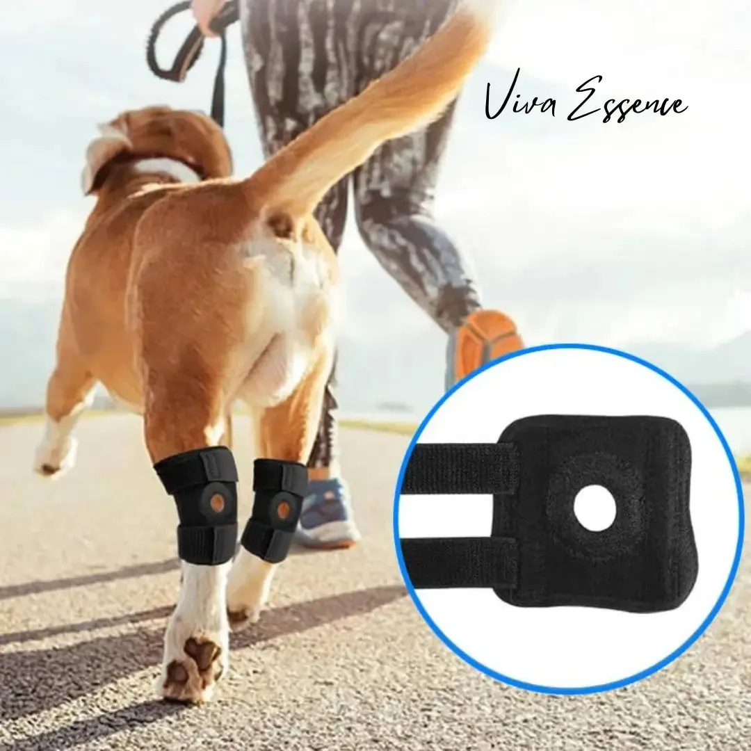 Adjustable Neoprene Dog Hock Brace - Joint Support Wrap