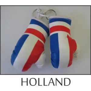 Holland Mini Boxing Glove