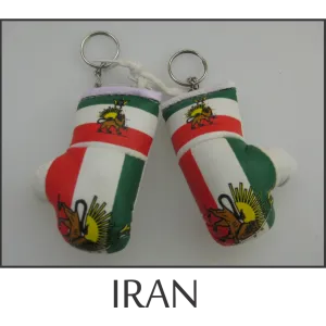 Iran Mini Boxing Glove