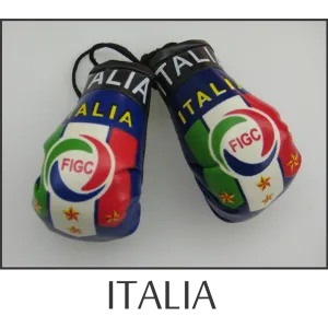 Italia Mini Boxing Glove