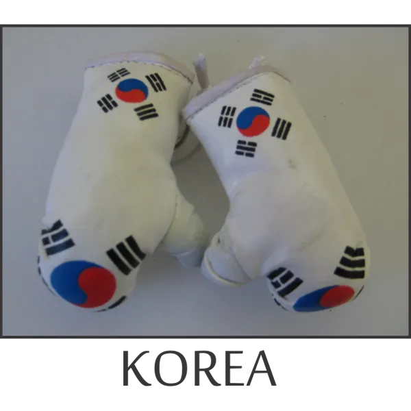 Korea-Themed Mini Boxing Glove Keychain – Authentic Souvenir & Sports Memorabilia