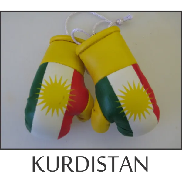 Kurdistan Mini Boxing Glove