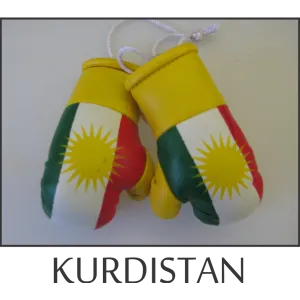 Kurdistan Mini Boxing Glove