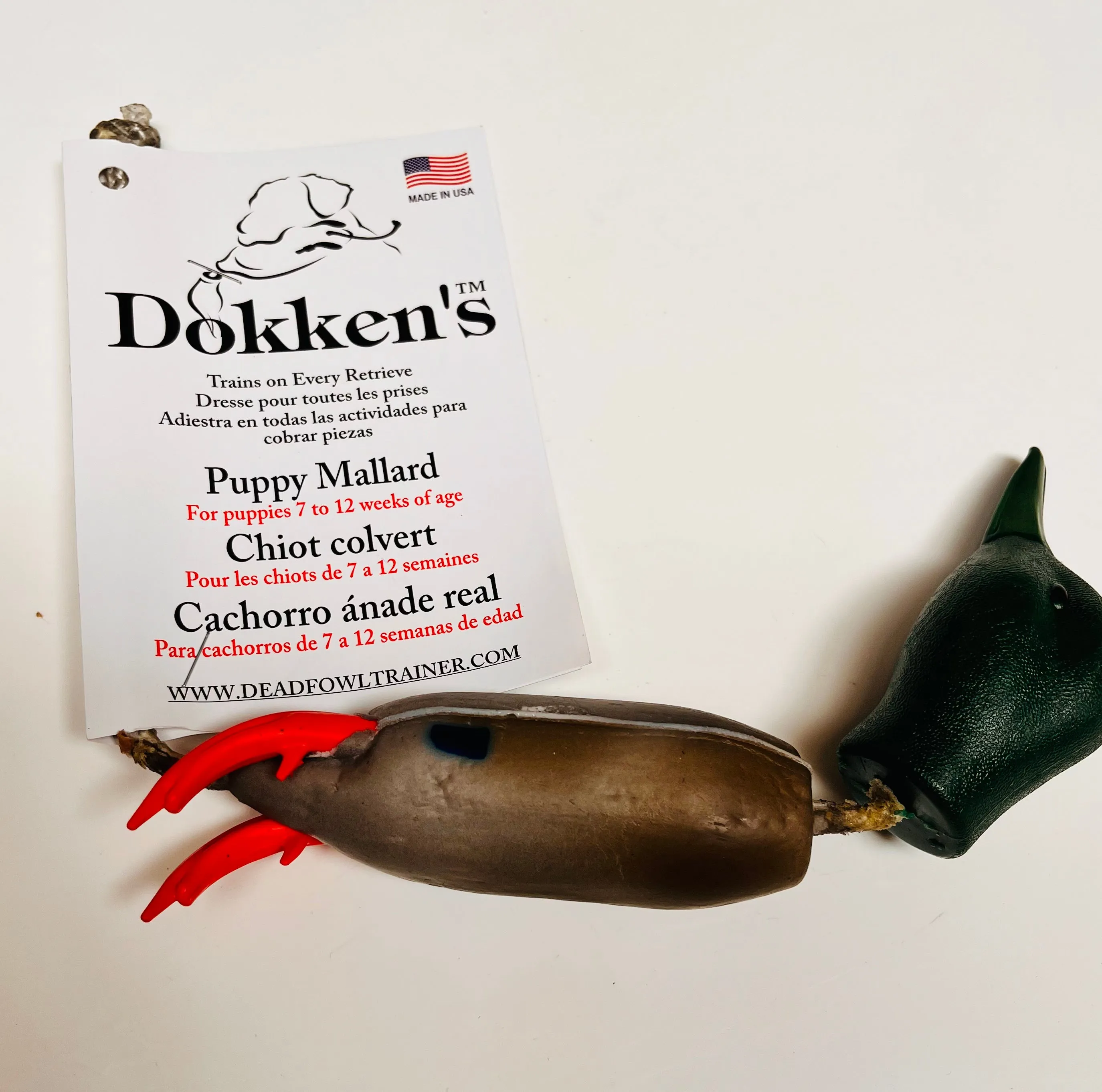 NEW Dokken Dead Fowl Puppy Trainers