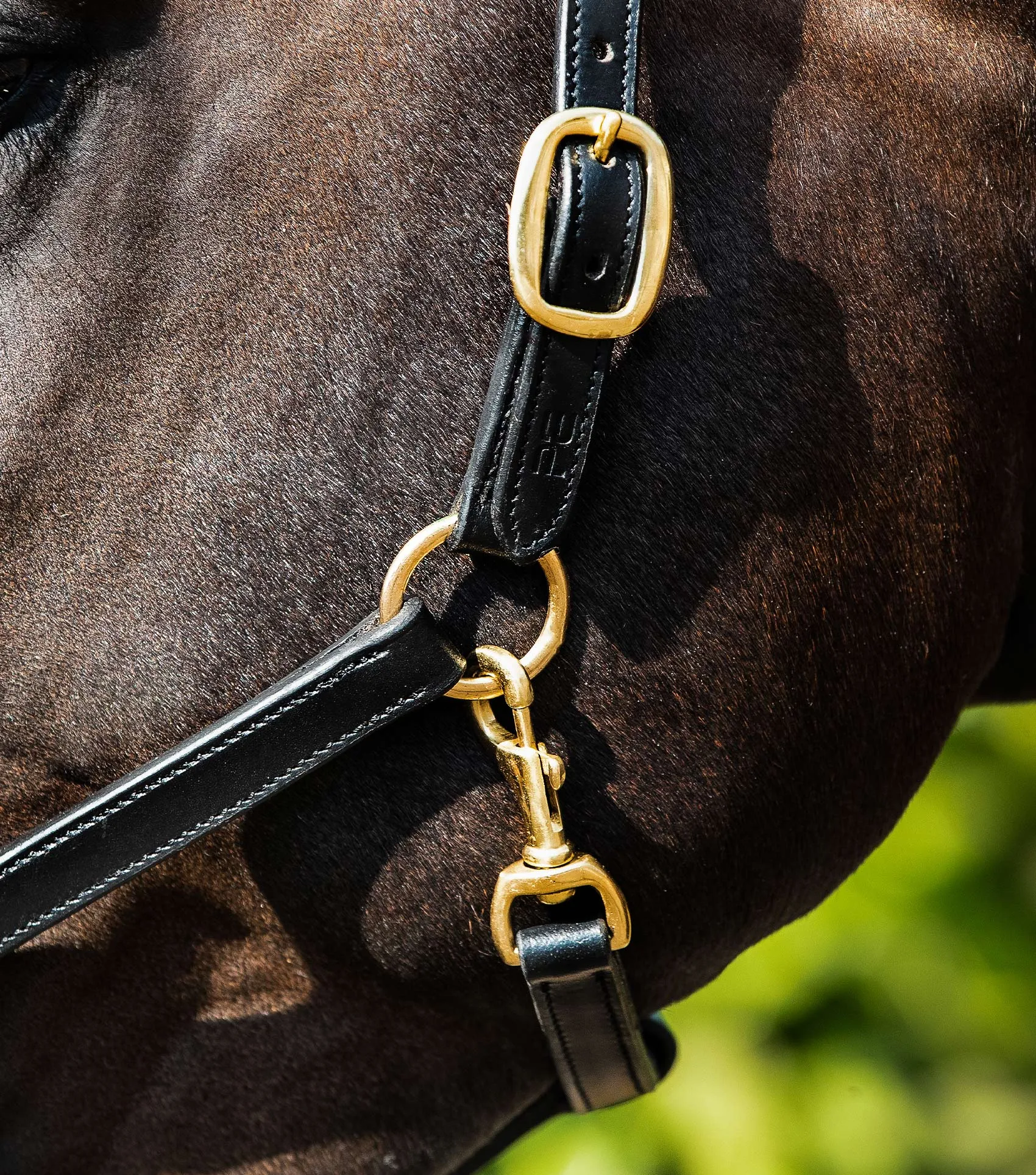 Rego Padded Leather Head Collar Black