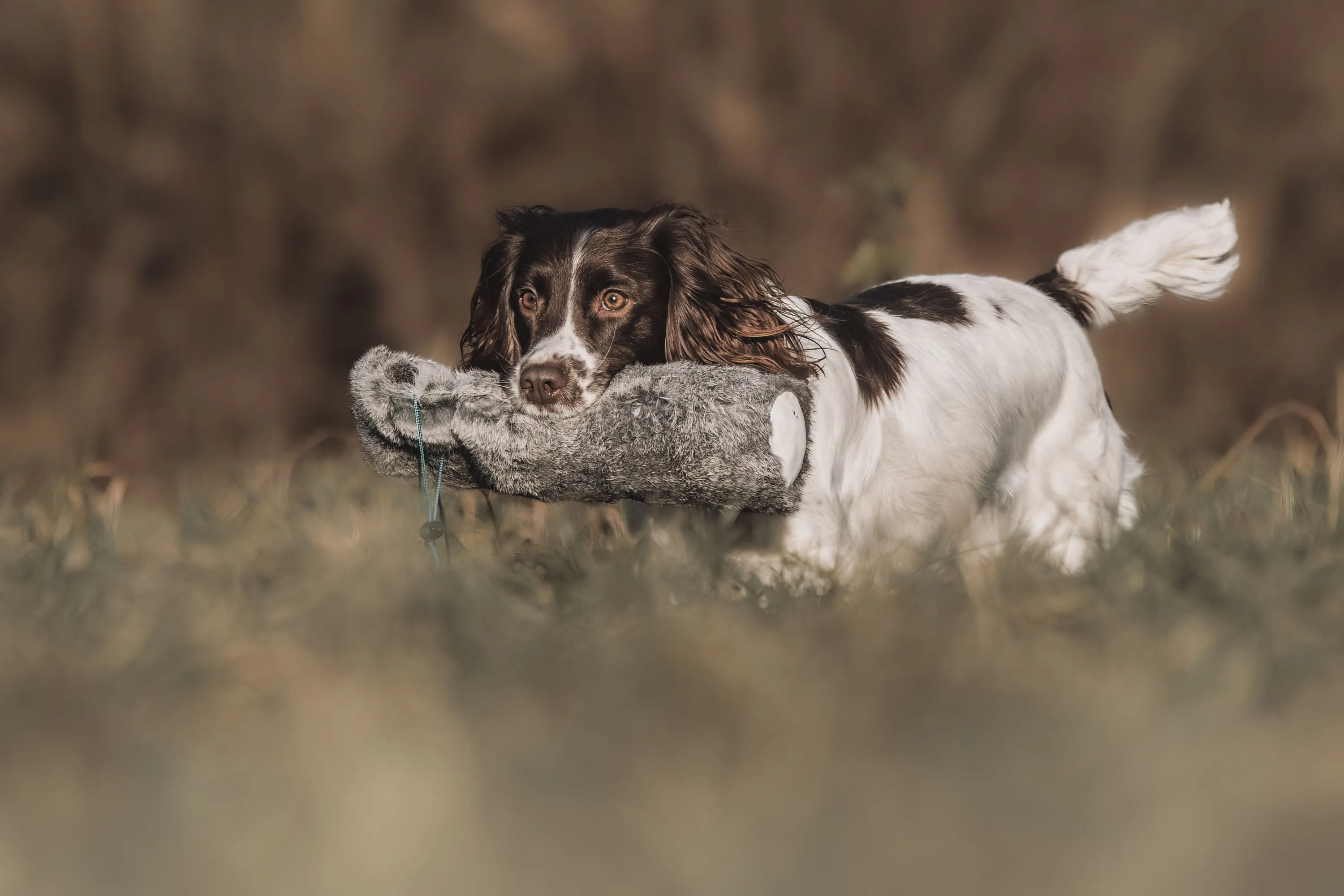 SPORTING SAINT 1 lb Rabbit Dummy With Throwing Toggle